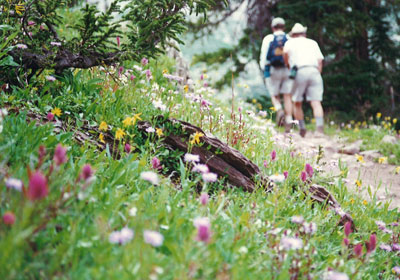 hikers